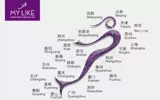 美萊21周年|杭州美萊五大活動，實力寵你！