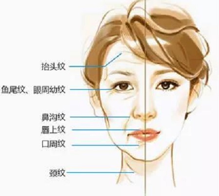 等我40歲了，再做除皺美容吧！結(jié)果……