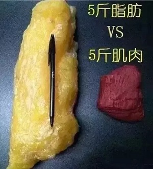 面對減肥這件事，一定要保持頭腦清醒！