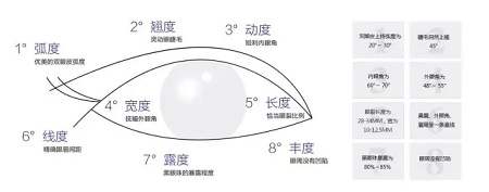 美眼張誠(chéng)坐診美萊，淺談為什么你的眼睛不夠美？