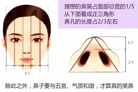 鼻子不是越高越好看！