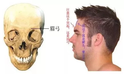 想要?dú)W式大眼，一定要注意與這個(gè)部位協(xié)調(diào)！